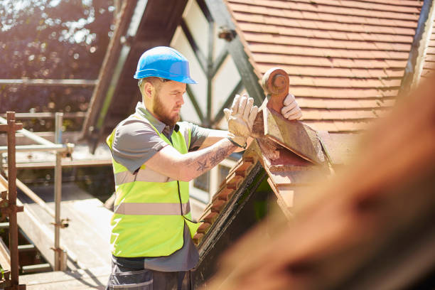 Best Roof Gutter Cleaning  in Mount Pleasant, IA